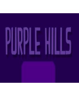 Purple Hills English Language only Steam Key GLOBAL